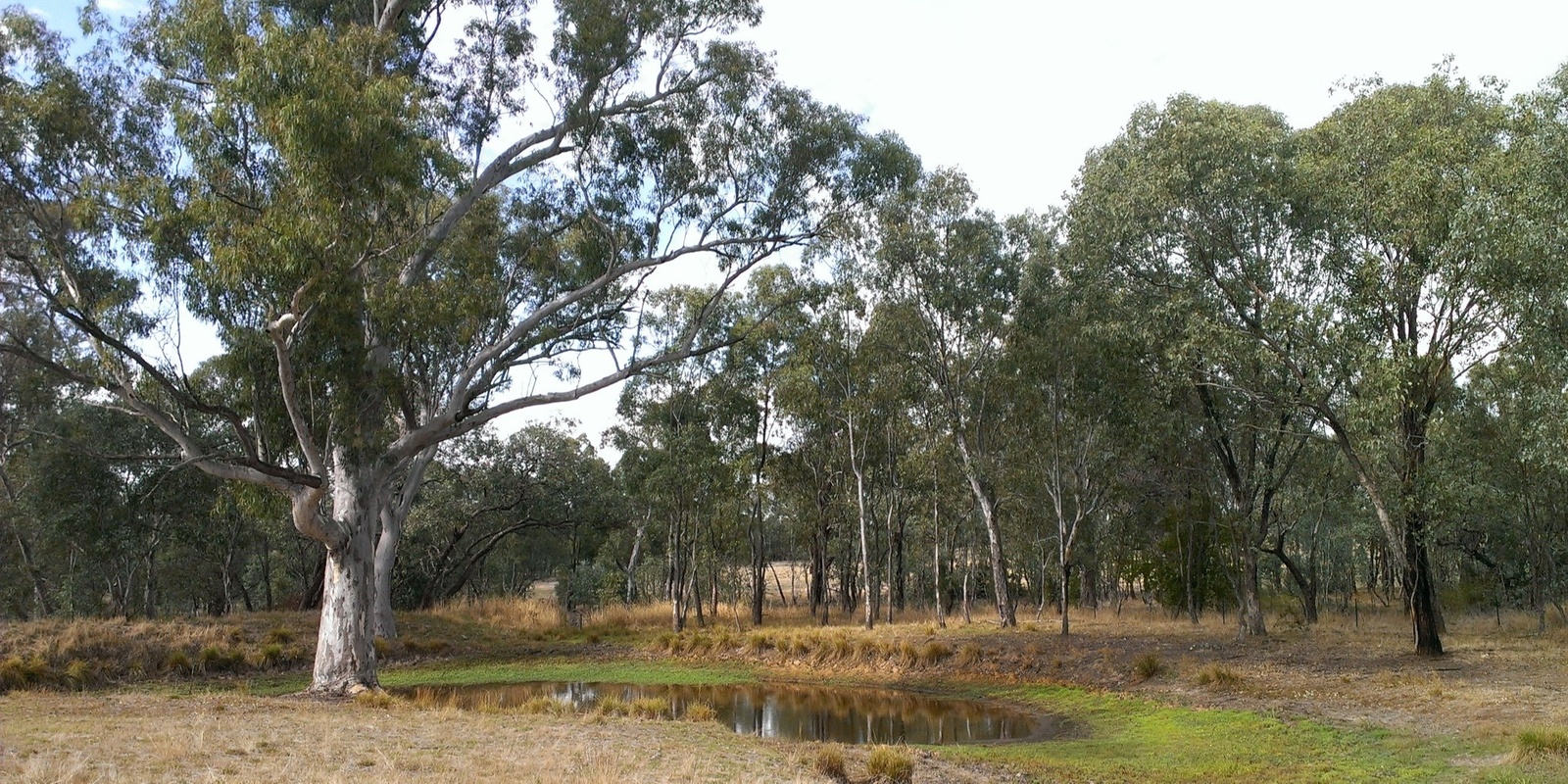 Banner image for Volunteer morning - Thurgoona