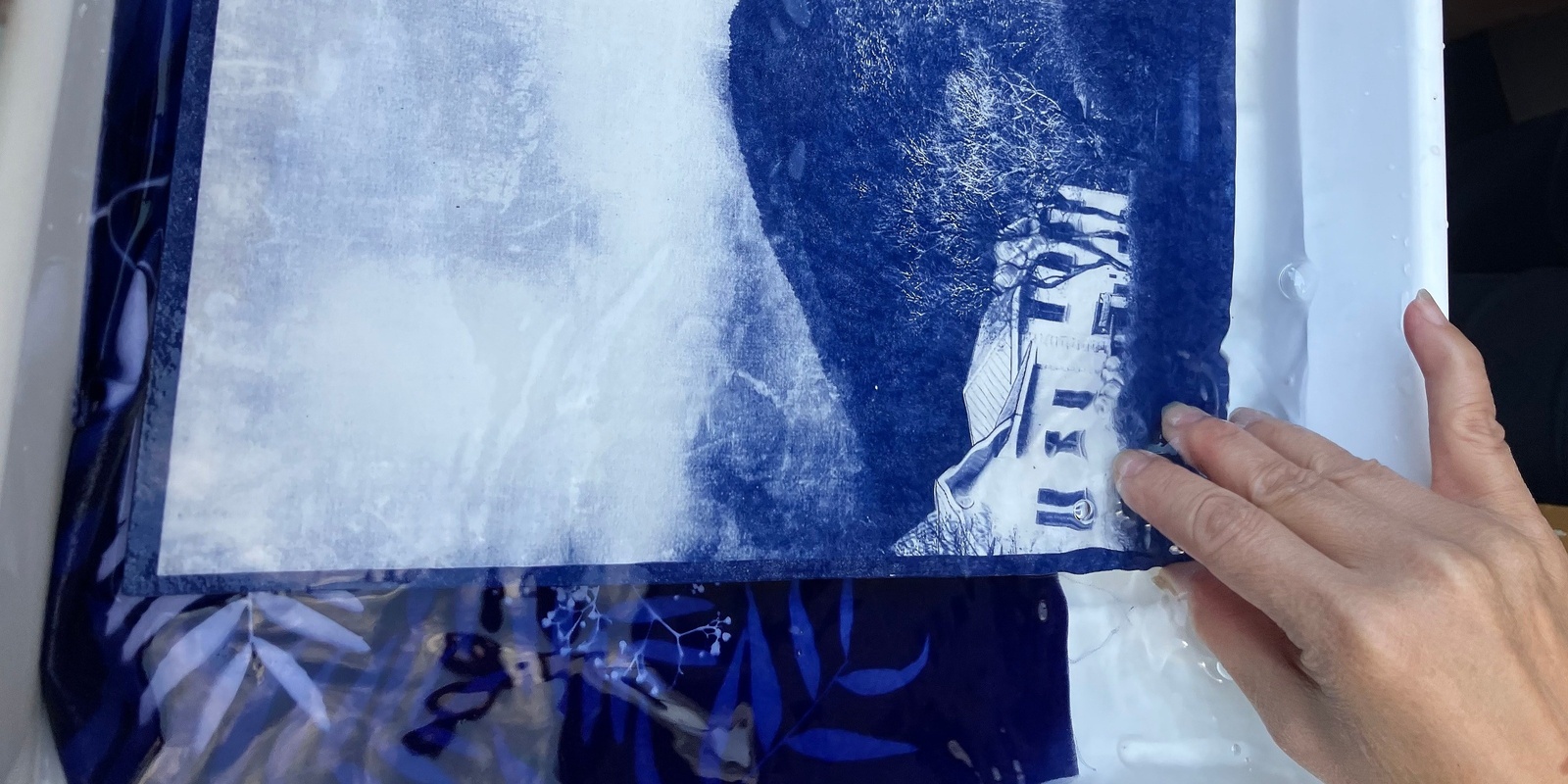 Banner image for Next-Step Cyanotype Playdate