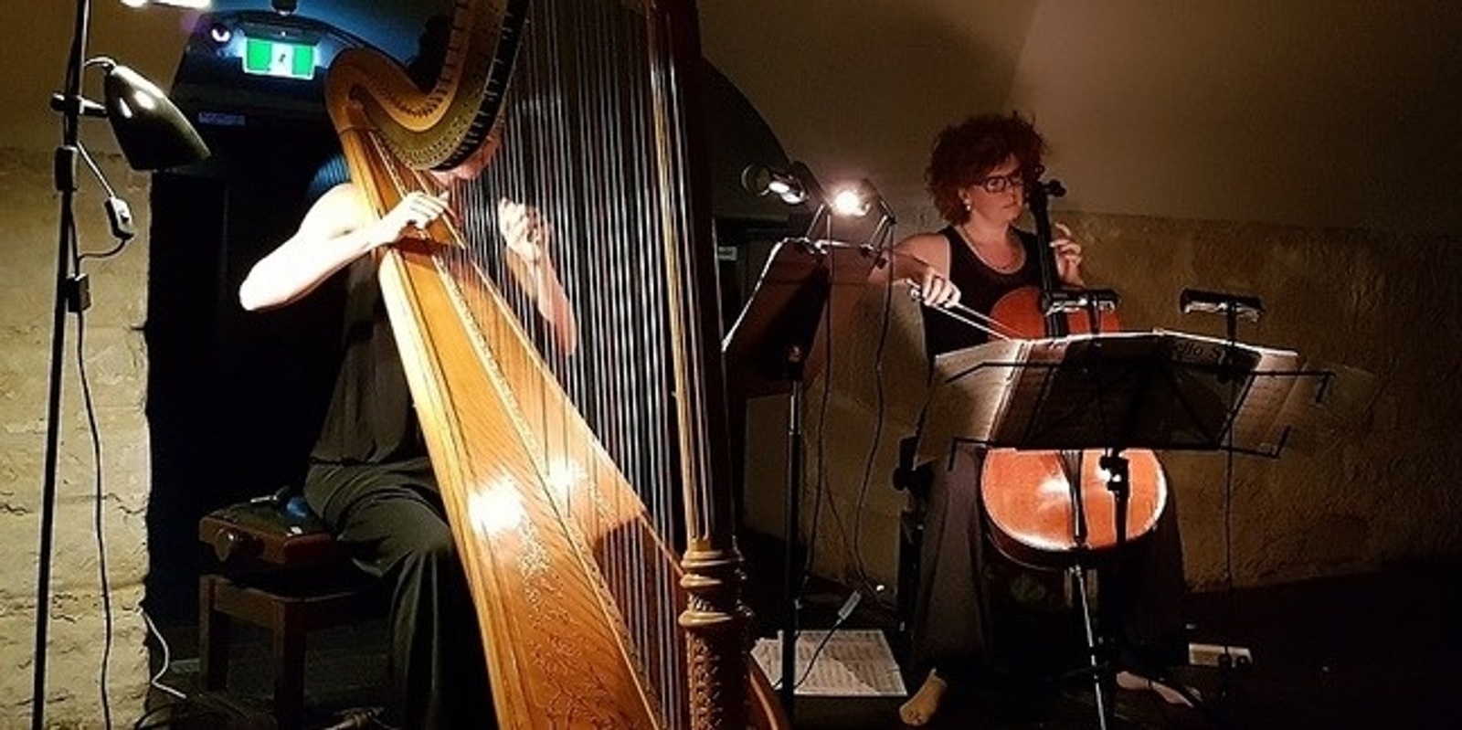 Banner image for Bach in the Dark - Cello and Harp Live Streaming