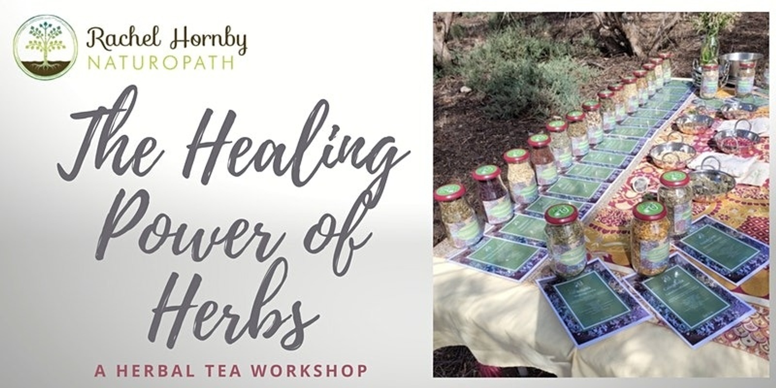 Banner image for The Healing Power of Herbs - A Herbal Tea Workshop 12th Feb 2023