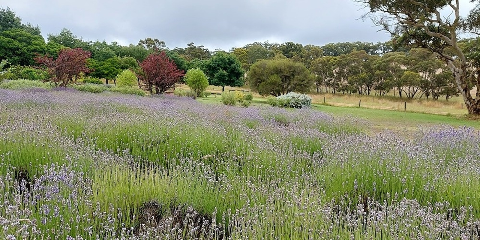 Banner image for Ink Pot Arts' Eco-Tourism & Wellbeing Program 2022 - Wednesday 9th Nov