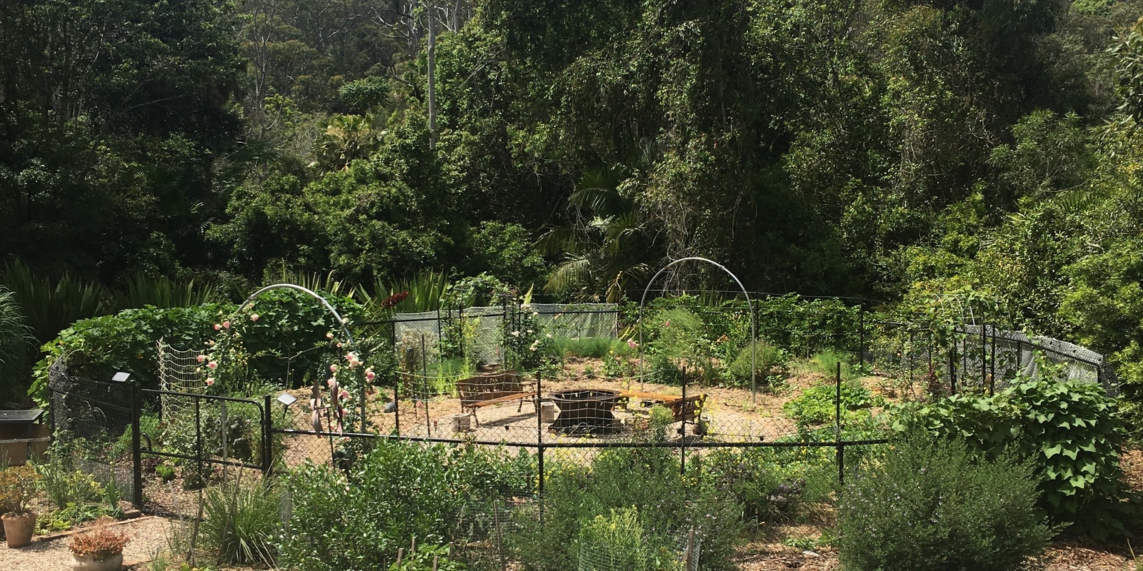 Banner image for Permacoach Permaculture Fundamentals:  Mon/Tues  January 2024