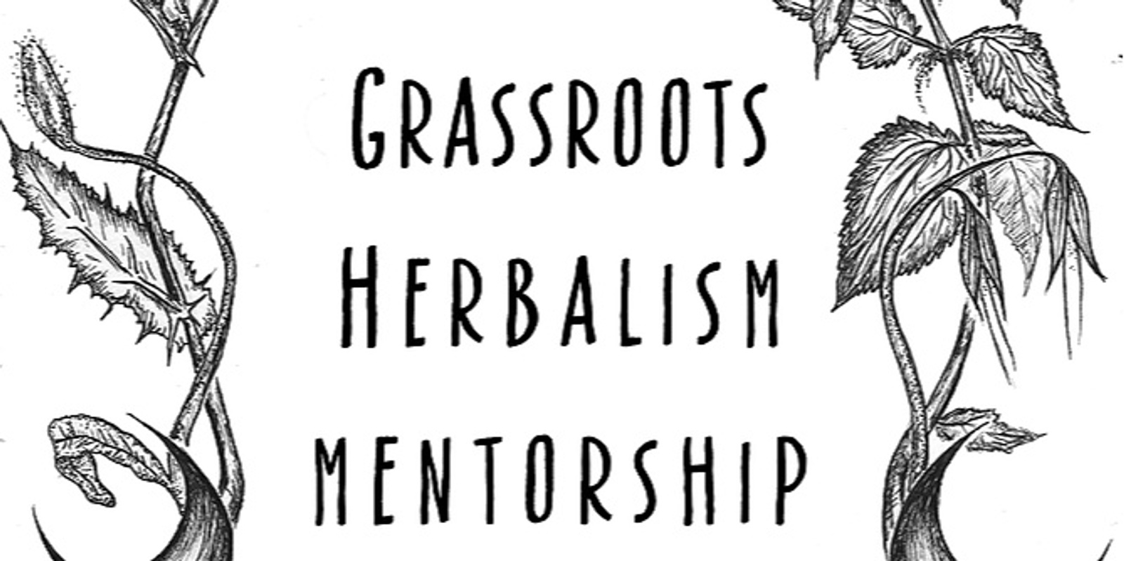 Banner image for Copy of Grassroots Herbalism Mentorship 
