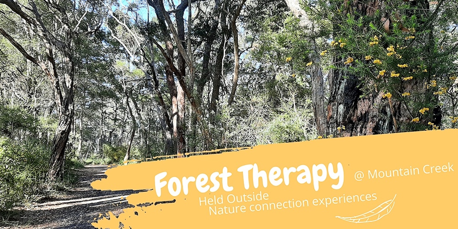 Banner image for Forest Therapy at Mountain Creek 18 Feb 23