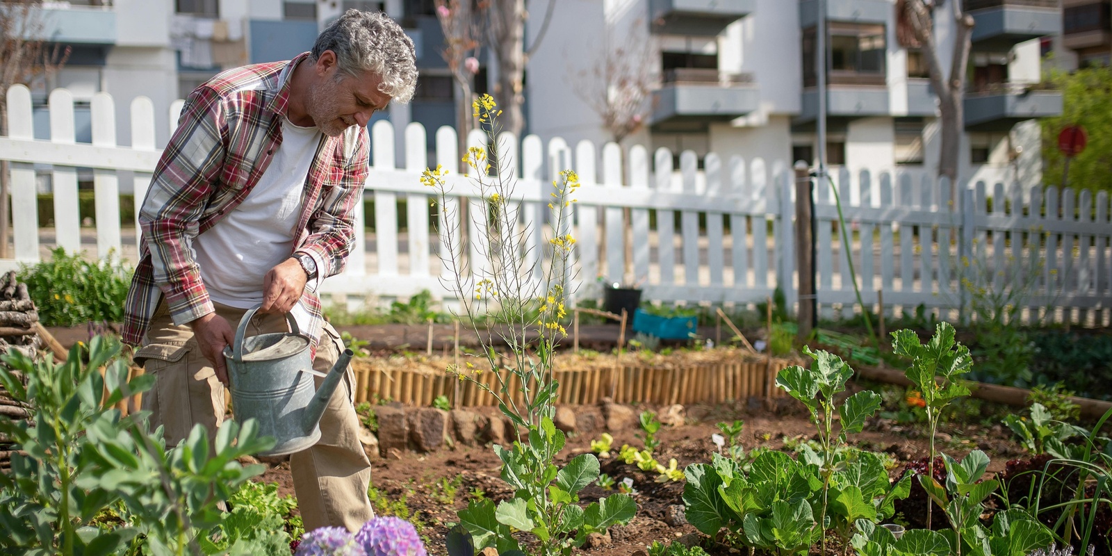 Banner image for Local Food Growing & Urban Farming