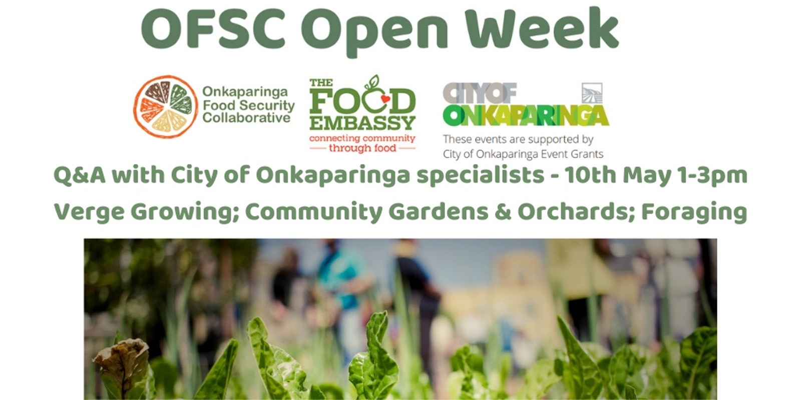 Banner image for Onkaparinga Open Week Q & A - Verge / Community Gardens / Foraging
