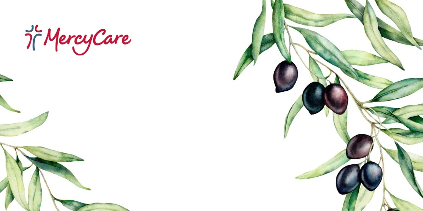 Banner image for 2024 Olive Harvest