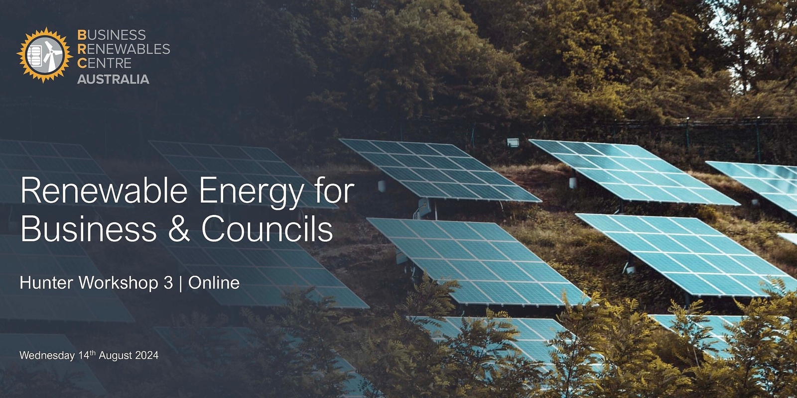 Banner image for Renewable Energy Training Workshop for Business & Councils in the Hunter - Online