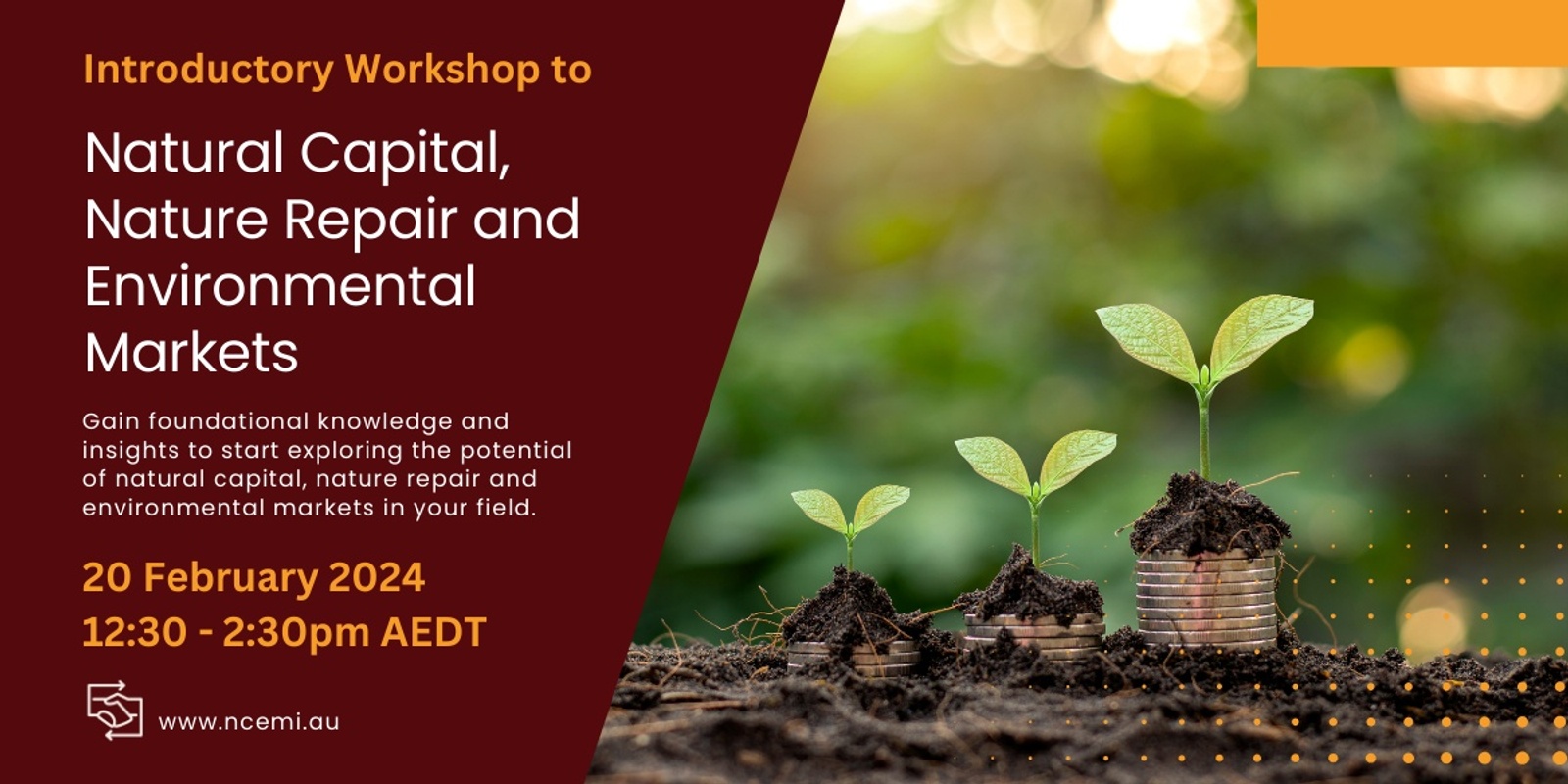 Banner image for Introductory Workshop to Natural Capital, Nature Repair and Environmental Markets - February 2025