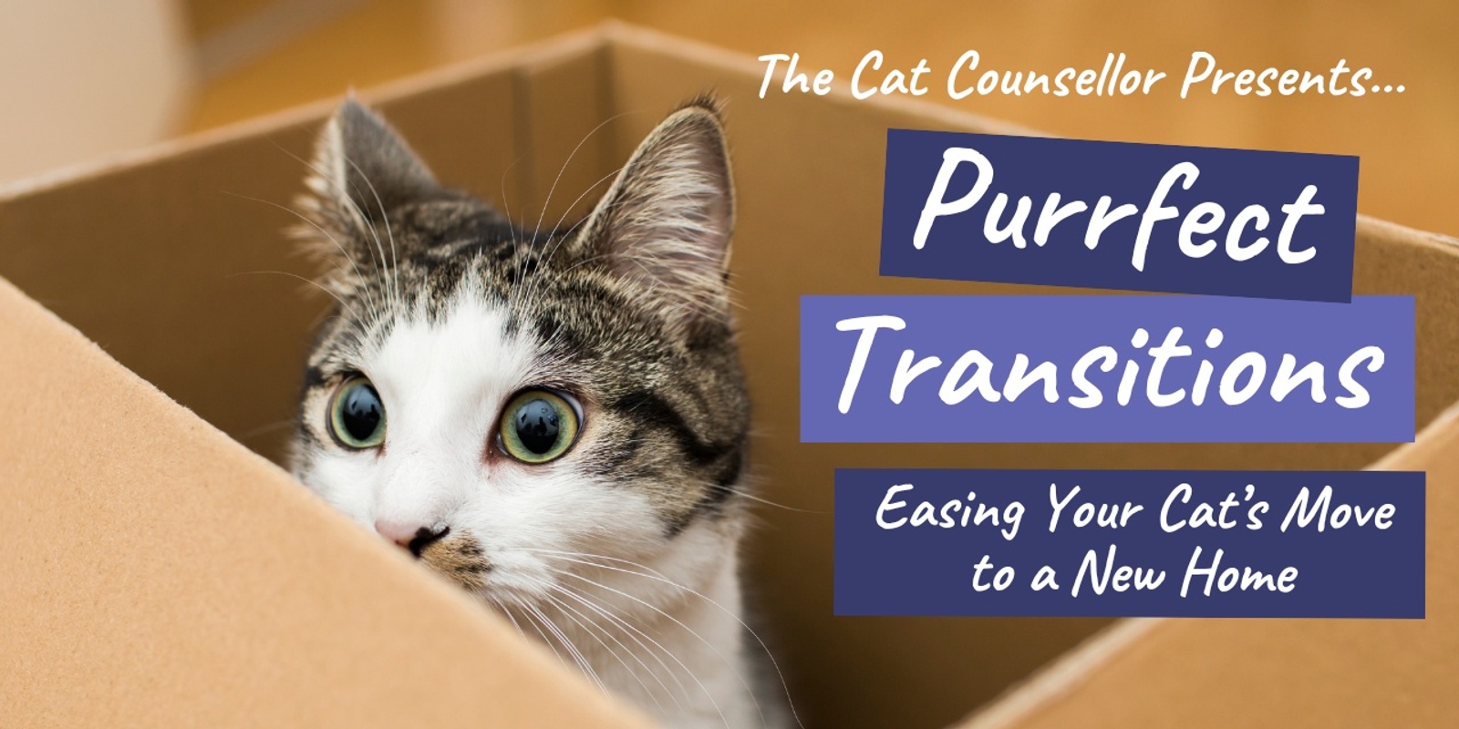 Banner image for Purrfect Transitions: Easing Your Cat’s Move to a New Home