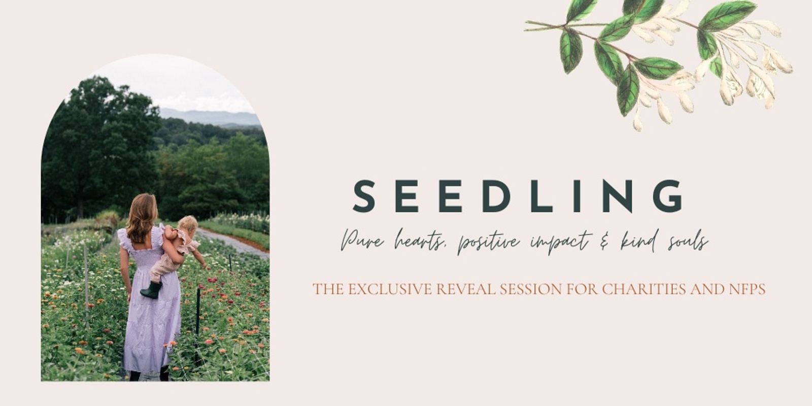Seedling... the exclusive reveal sessions for Charities and NFPs