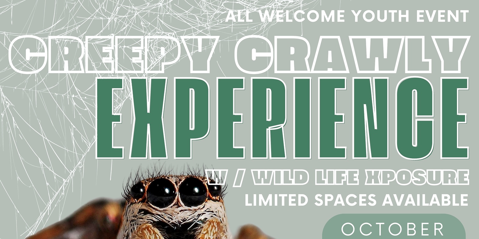 Banner image for Wild Life Xposure - Creepy Crawly Experience