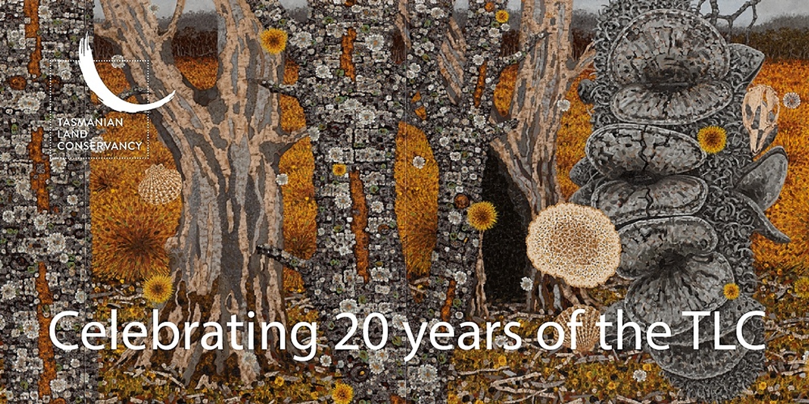 Banner image for TLC 20th Birthday Celebration and 'Breathing Space' Book Launch