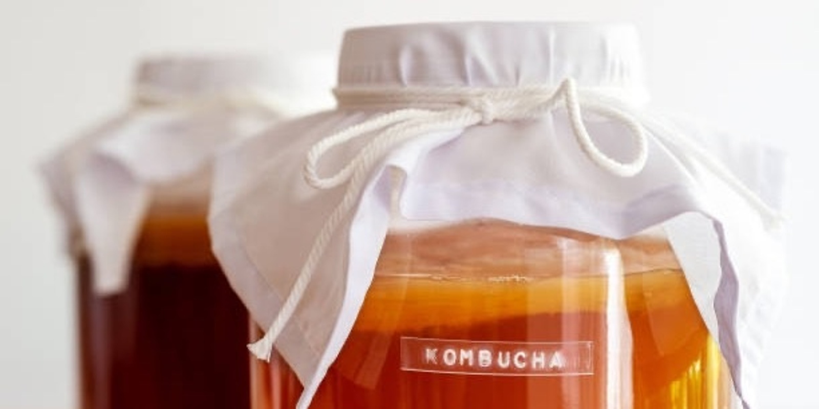 Banner image for Fermented Drinks - The Food Tool Library