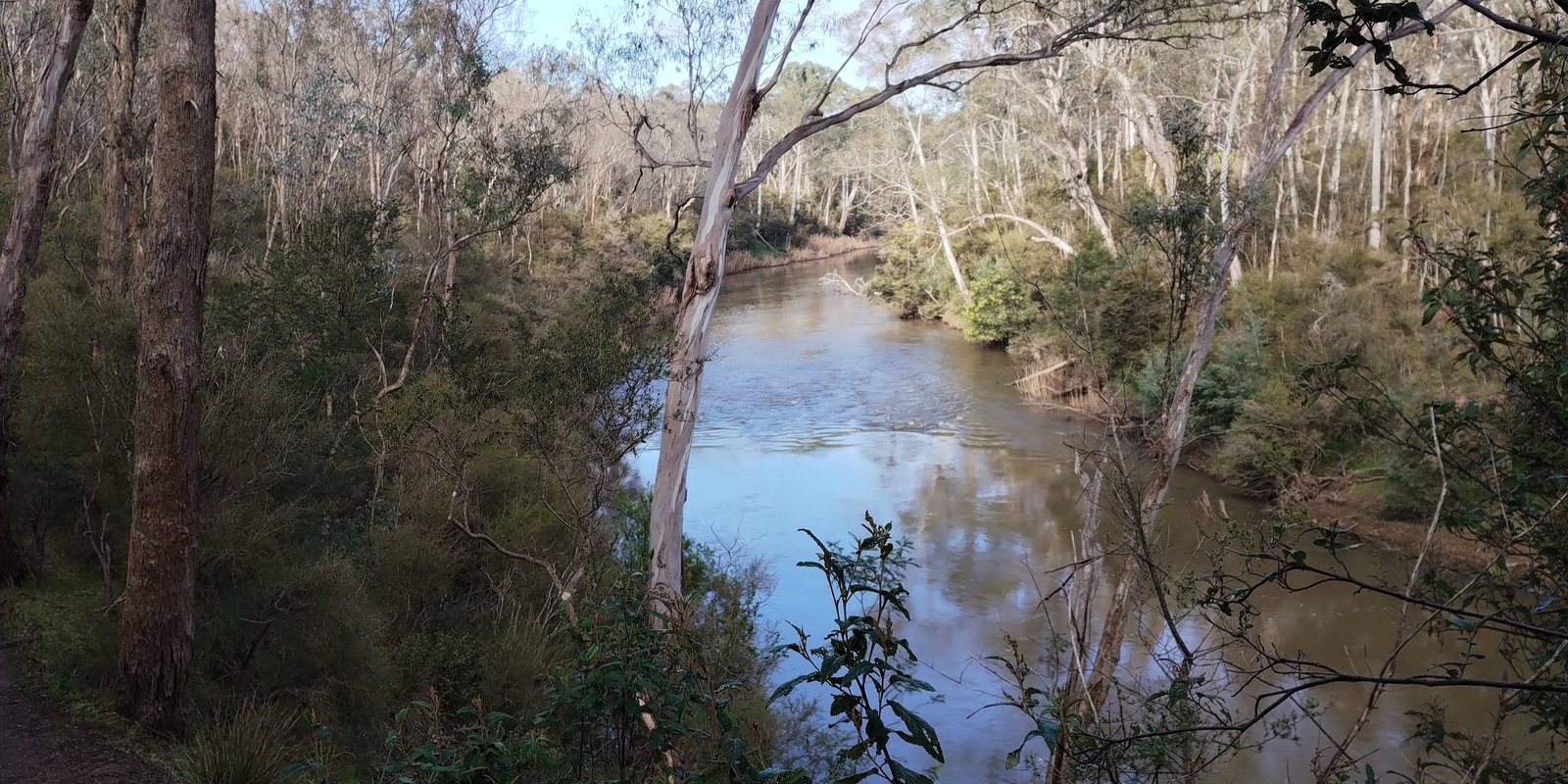 Banner image for Jumping Creek Walk - Warrandyte - Grade 3 (medium)