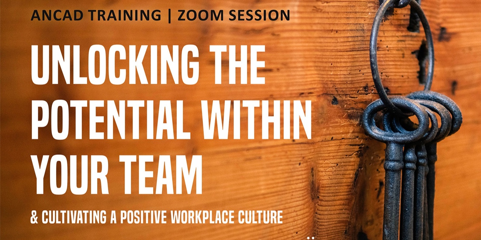 Unlocking The Potential Within Your Team And Cultivating A Positive Workplace Culture Humanitix