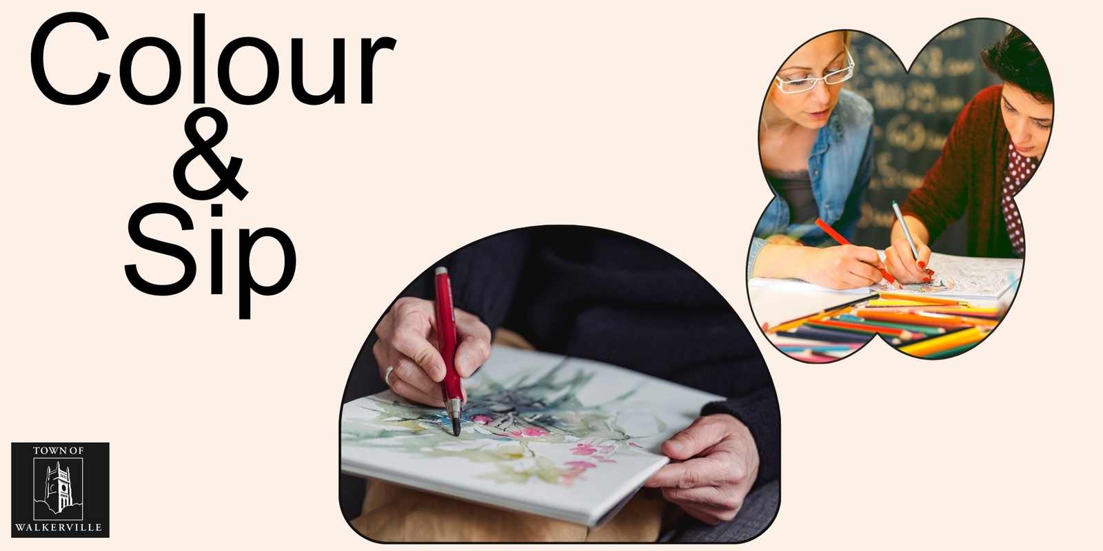 Banner image for Colour and sip session