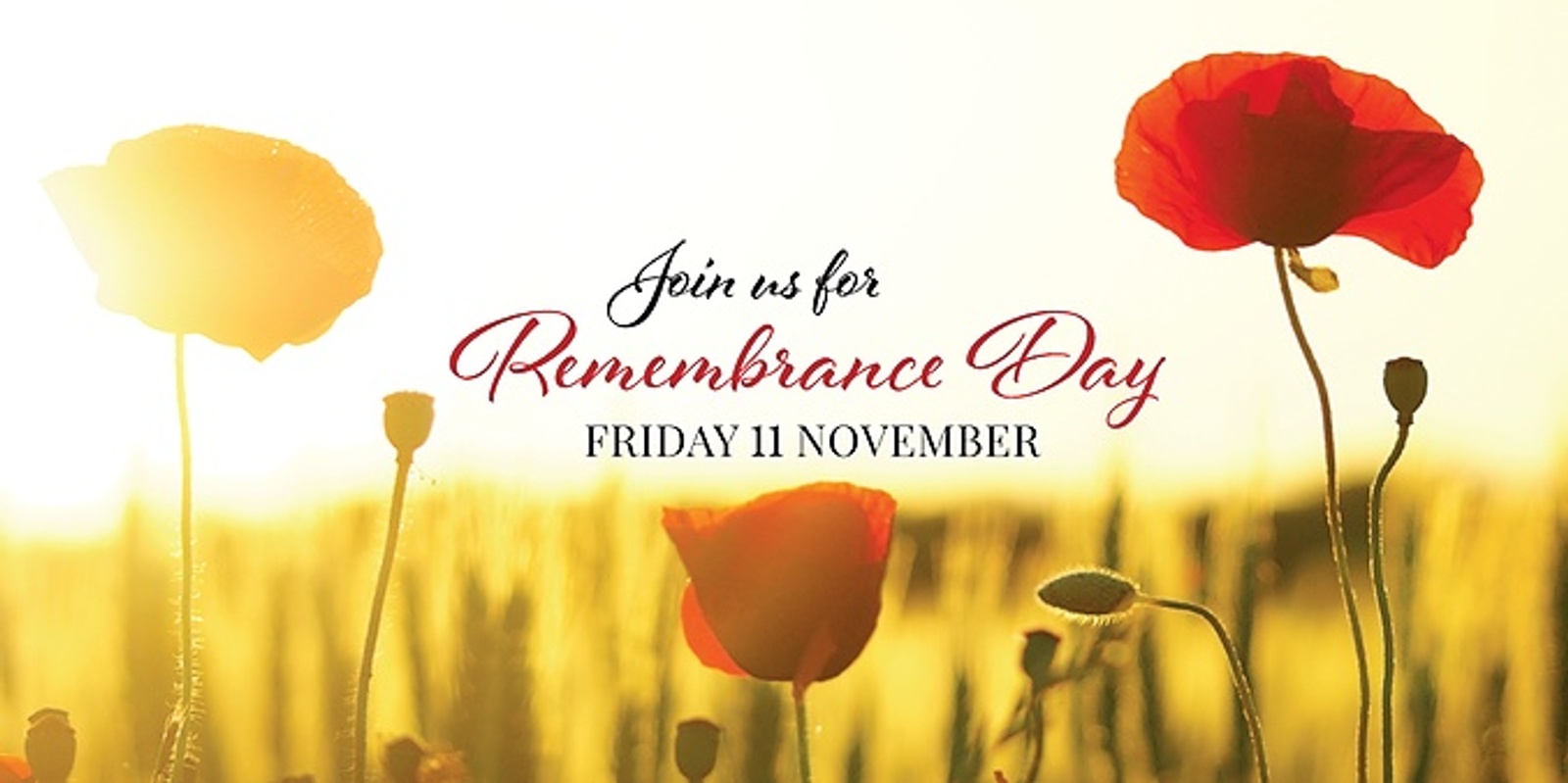 Banner image for Remembrance Day Lunch & Commemorative Service
