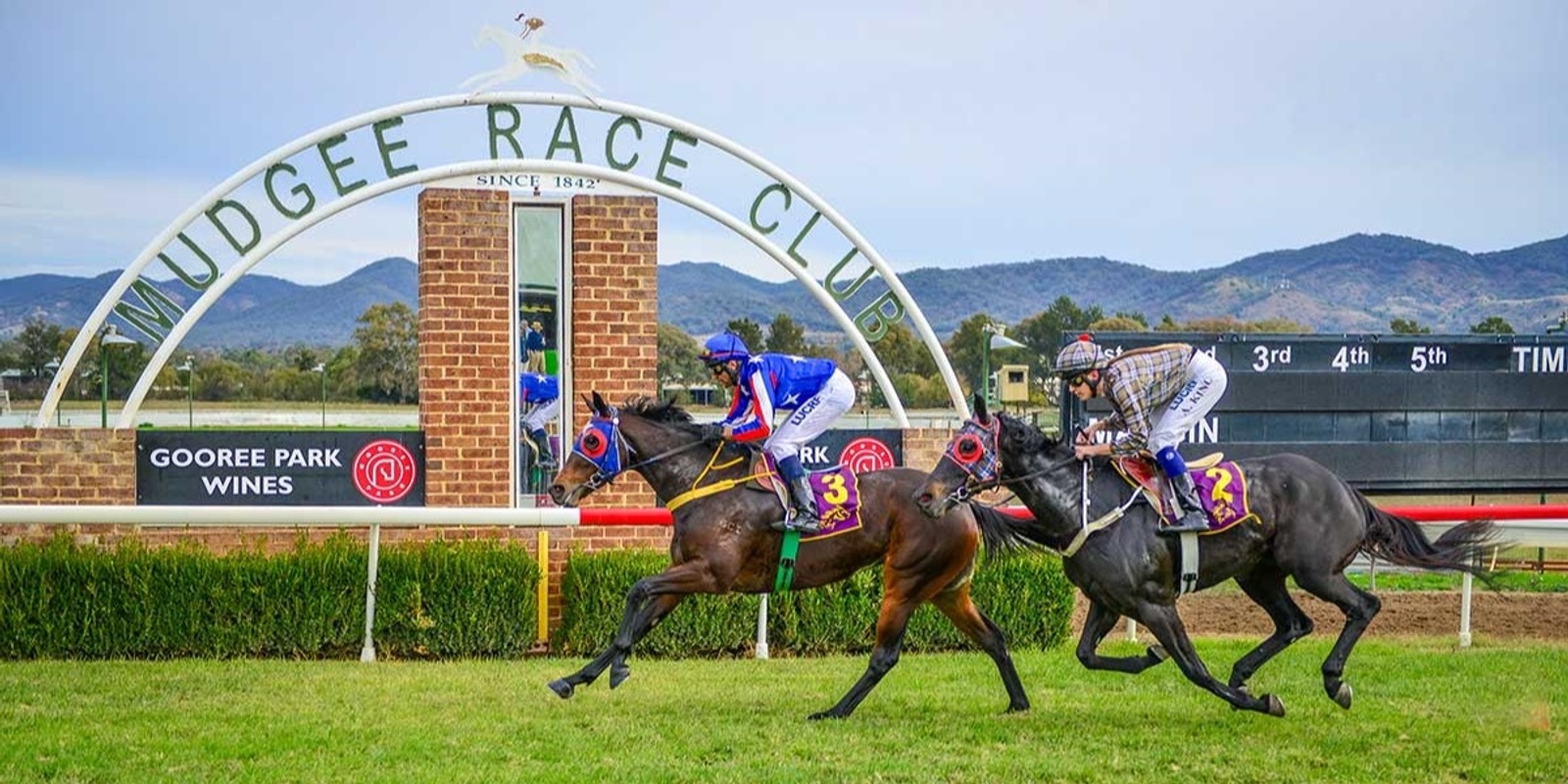 Banner image for Mudgee Cup Gulgong Bus