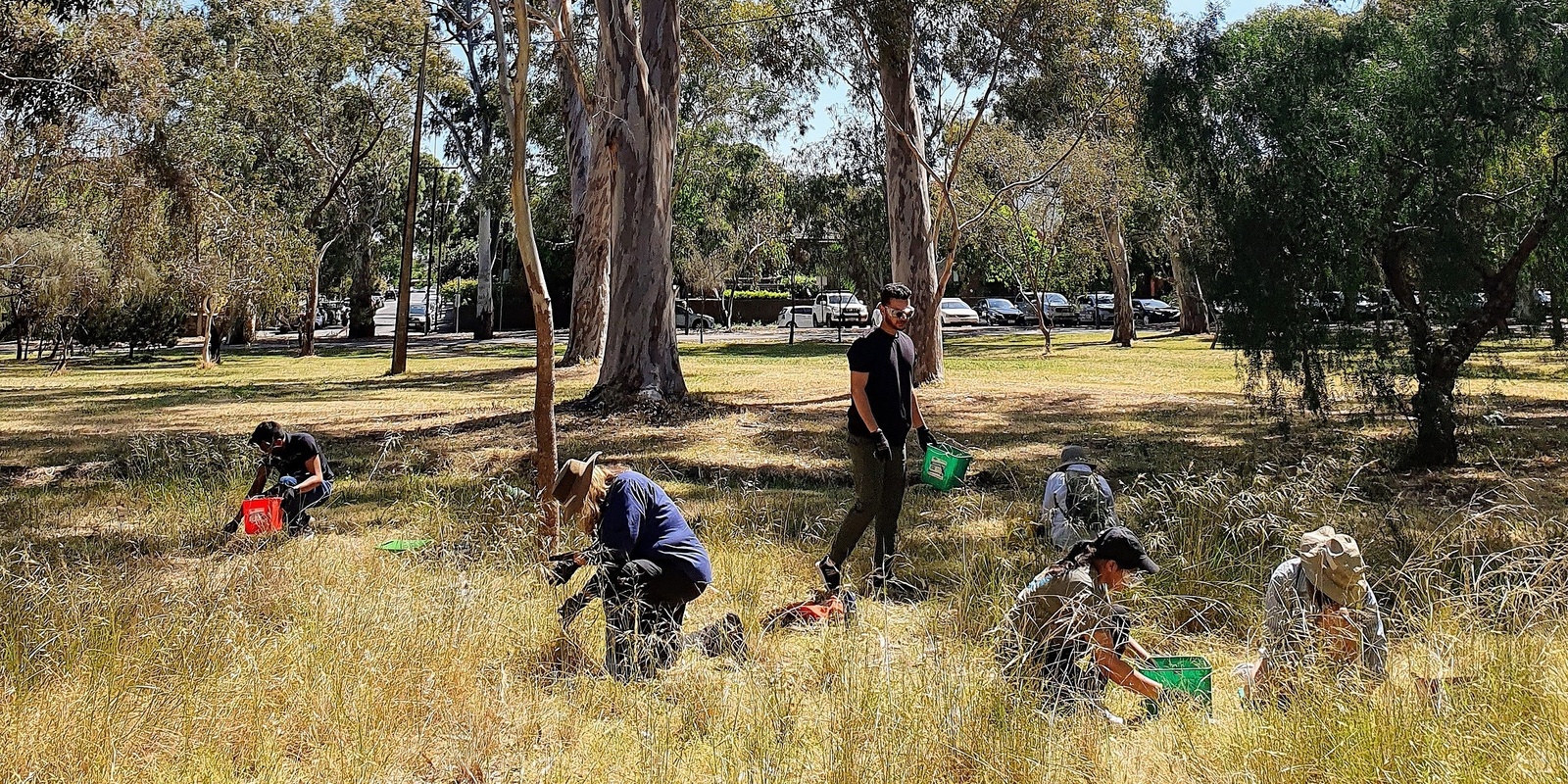 Banner image for Regenerate in the Adelaide Park Lands