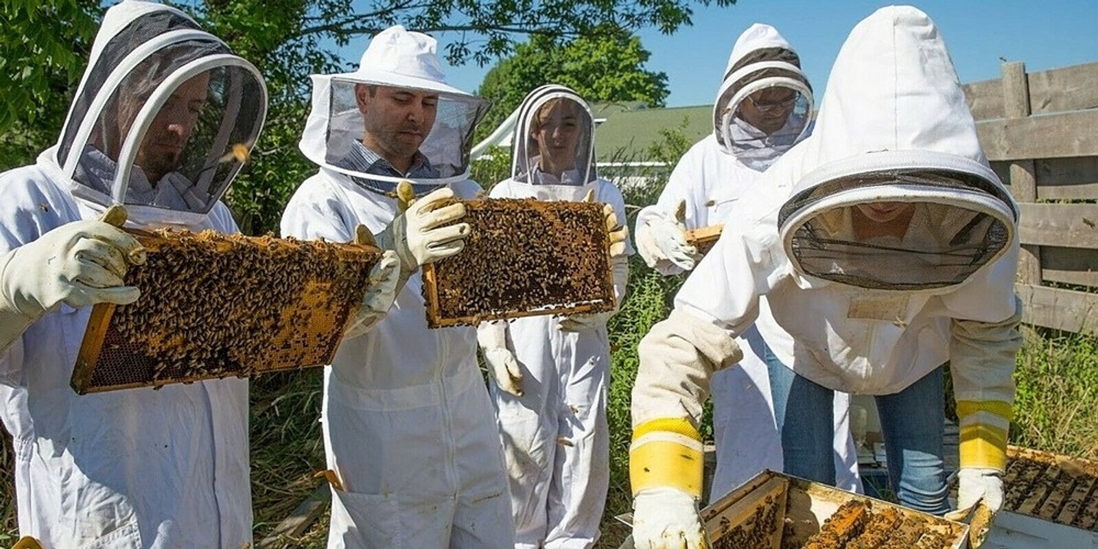 Banner image for Urban Beekeeping course for Beginners 17 April