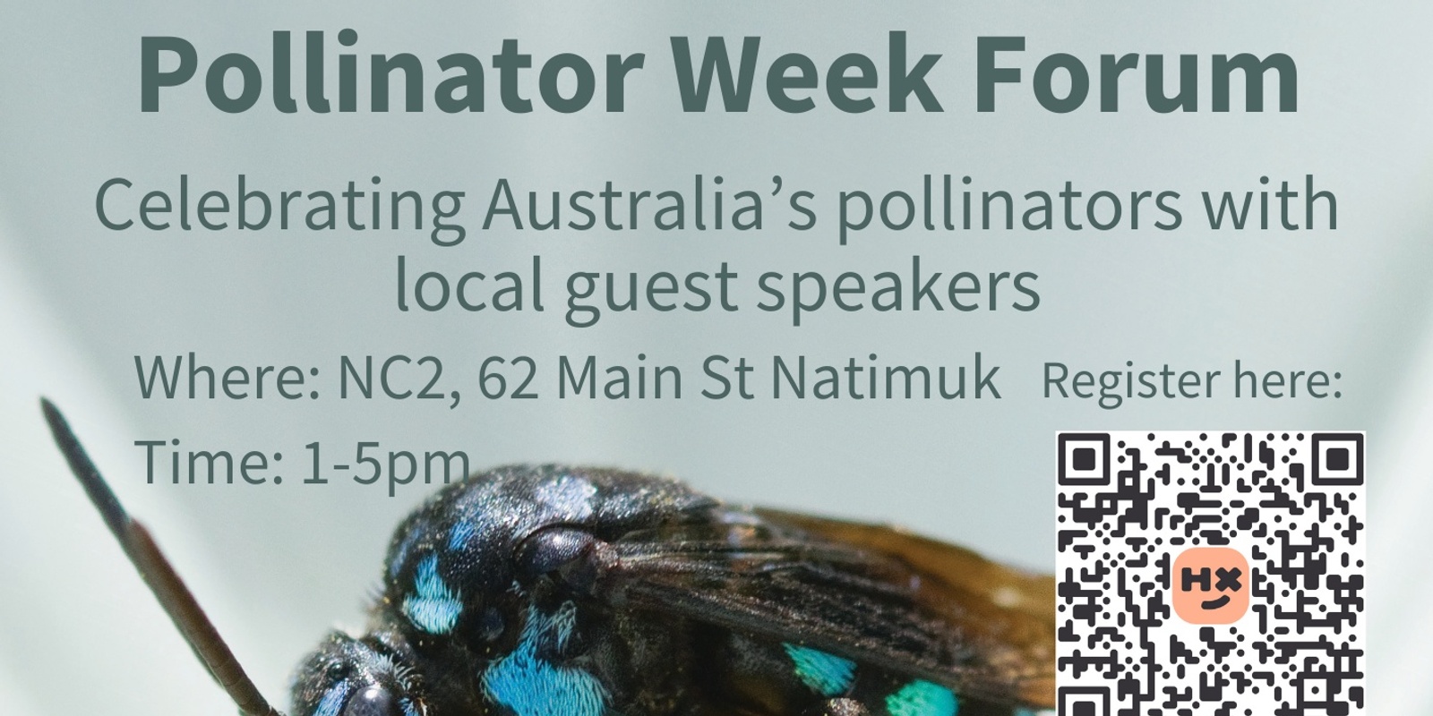 Banner image for Pollinator Week Forum