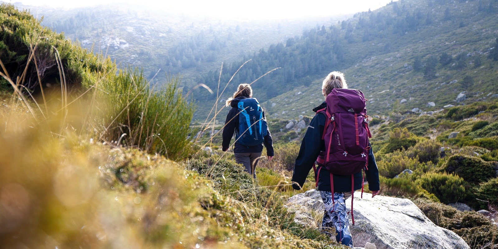 Banner image for Beginner Bushwalking for Every Body with Clare