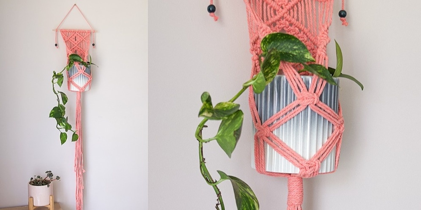 Banner image for Macrame Wall Plant Hangers with Courtney (Online)