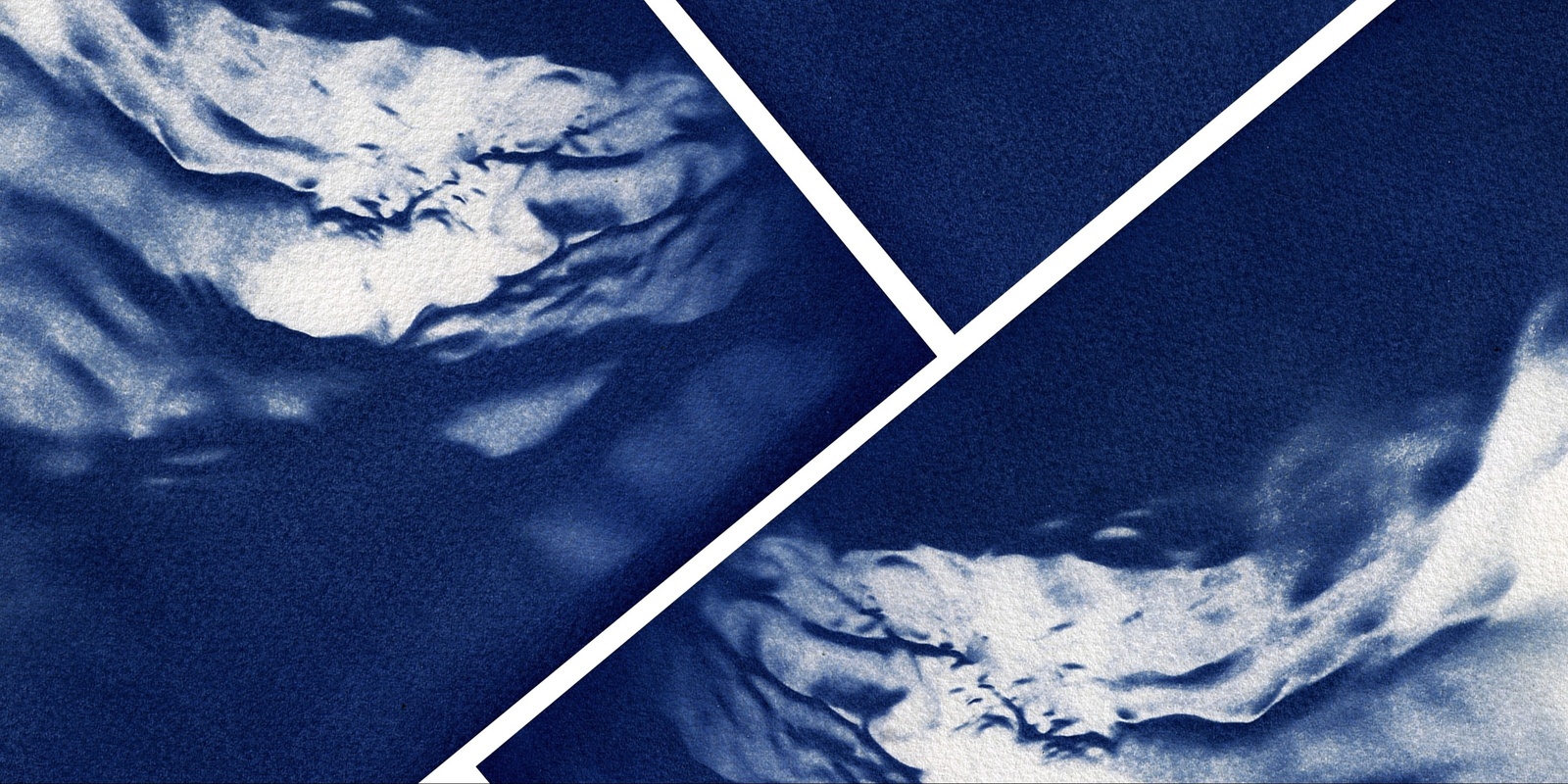 Banner image for Alternative Photography - Experimental Cyanotypes with Simone Darcy