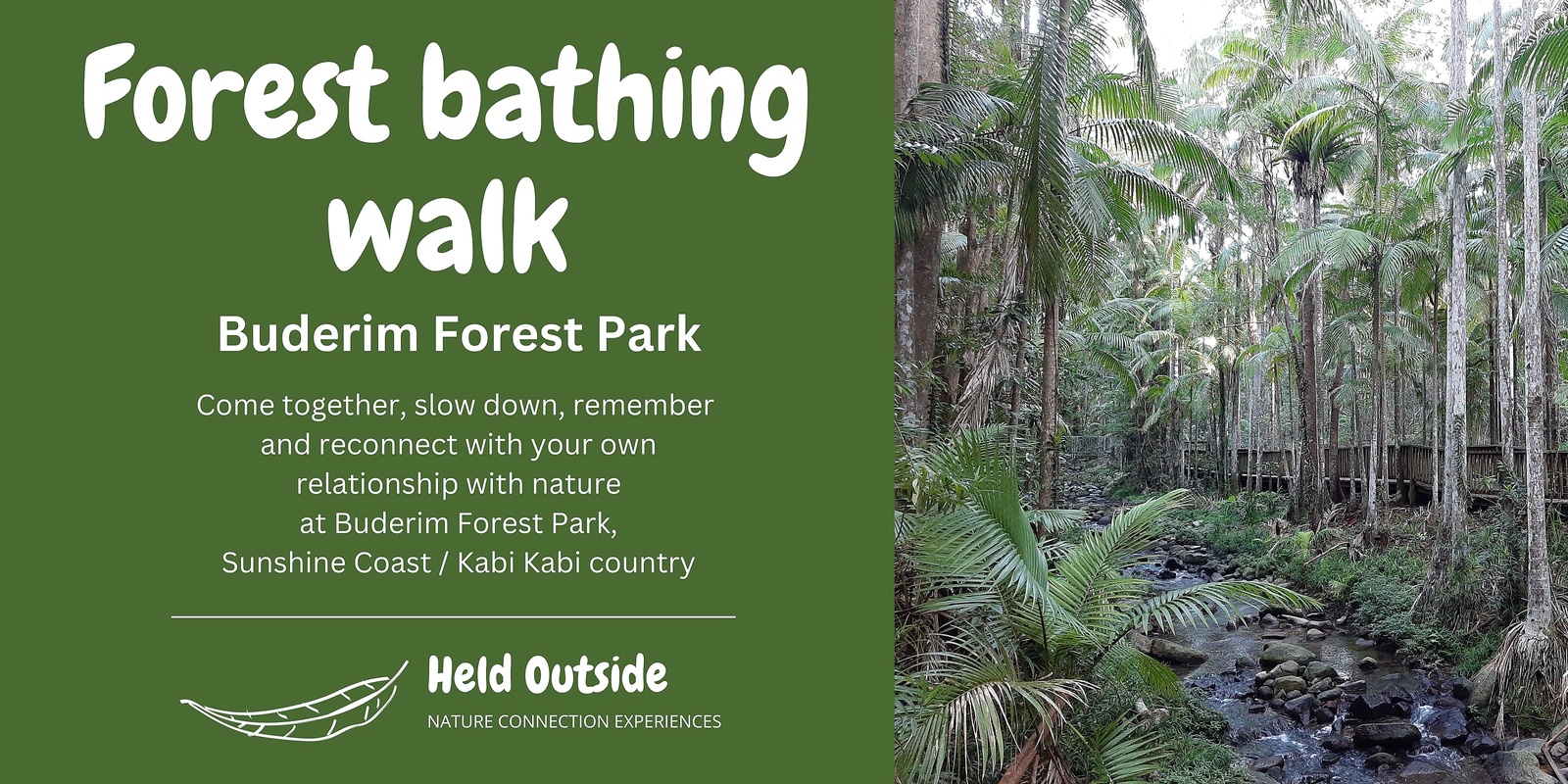 Banner image for Forest Therapy at Buderim Forest Park 14 Jul 24