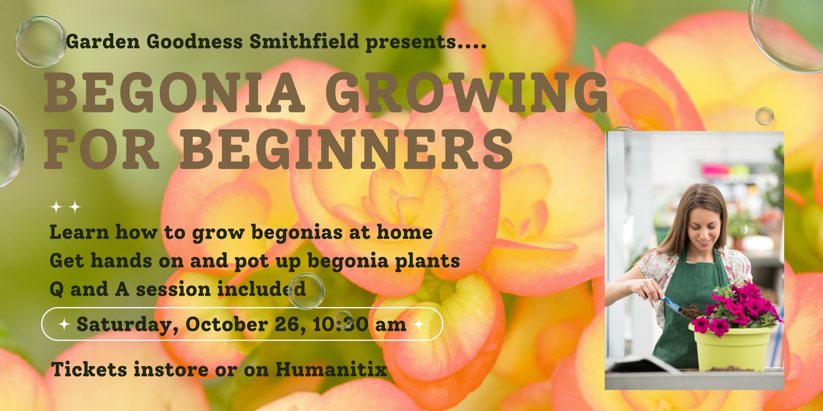 Banner image for Begonia Growing for Beginners - Smithfield