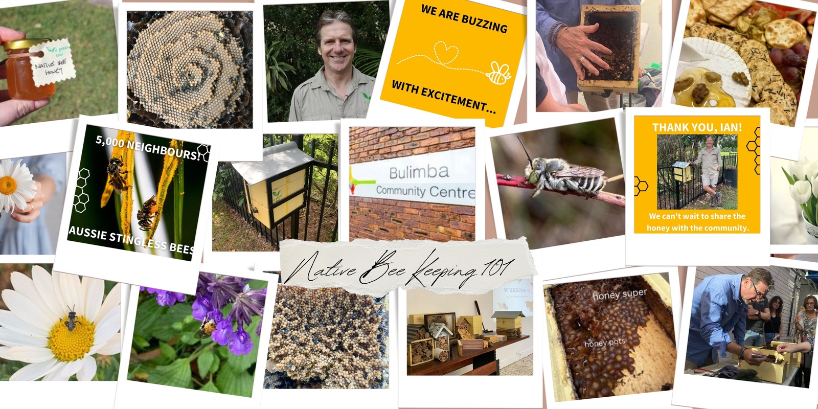 Banner image for Native Bee Keeping 101