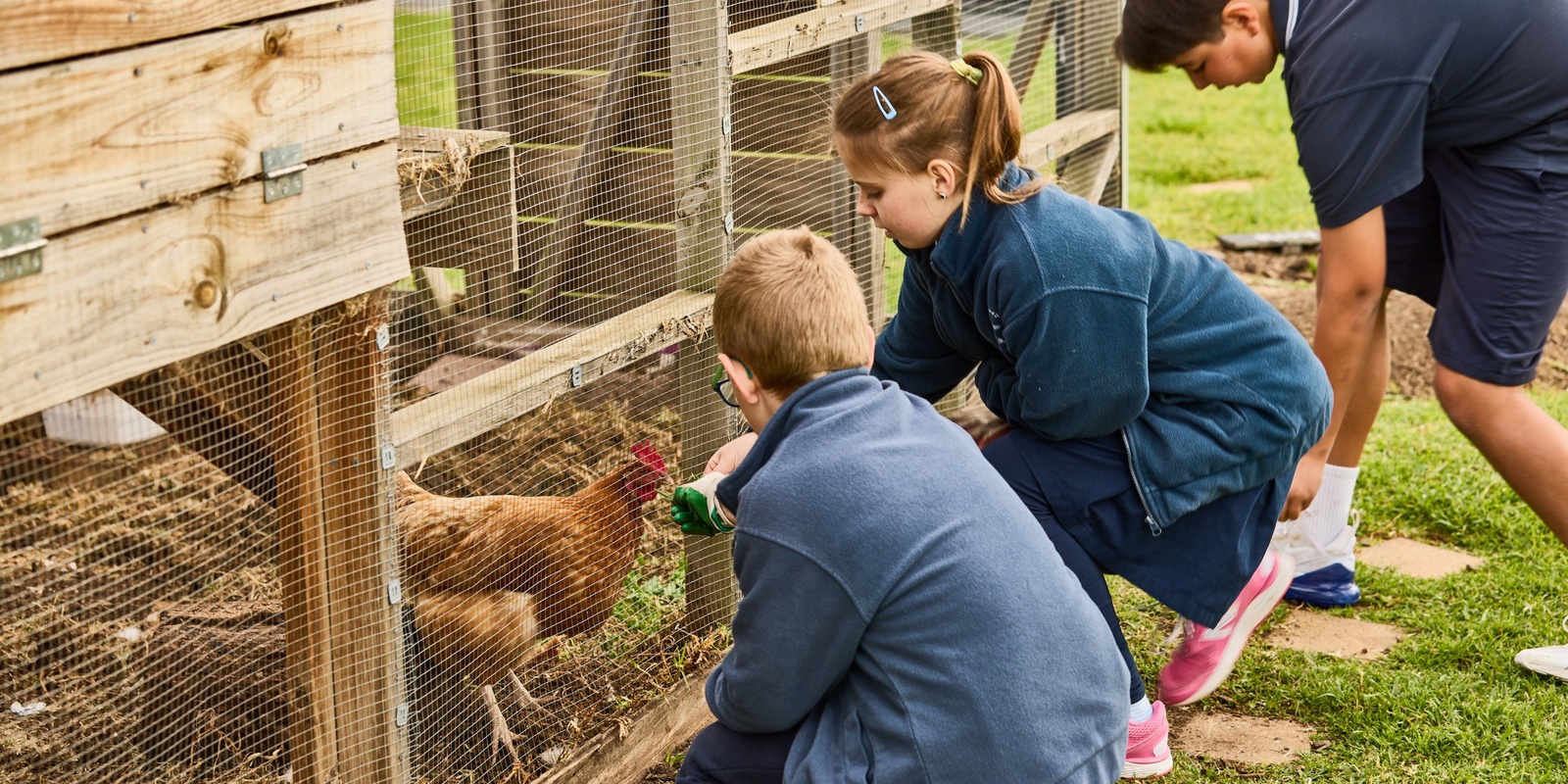 Banner image for Wellington Shire & East Gippsland schools- Introducing the ResourceSmart Schools Program