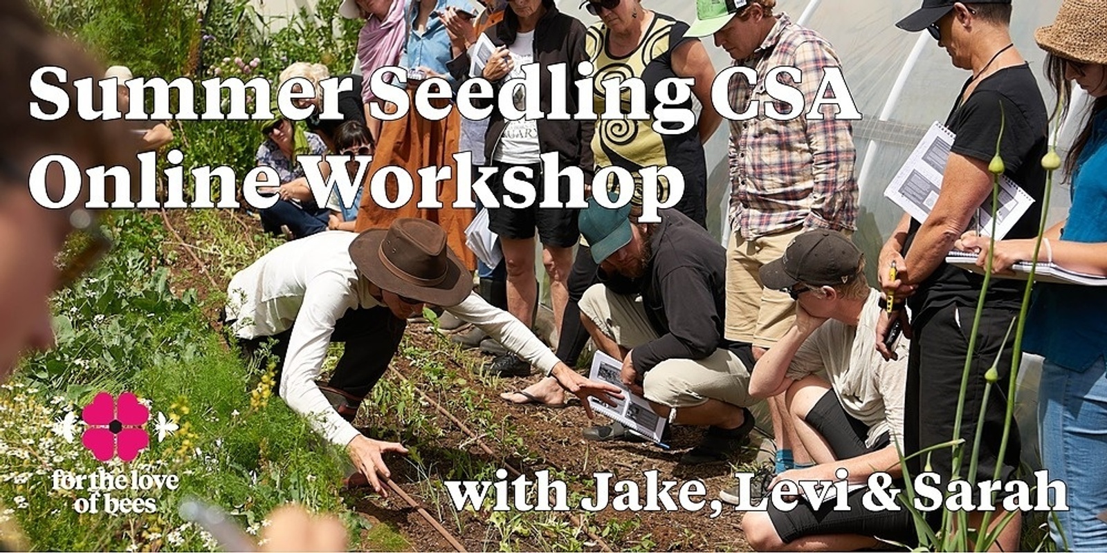 Banner image for For The Love Of Bees Summer Seedling CSA Workshop
