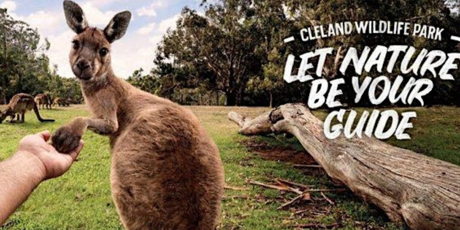Banner image for UniSA G'day Mates Presents: Cleland Wildlife Park