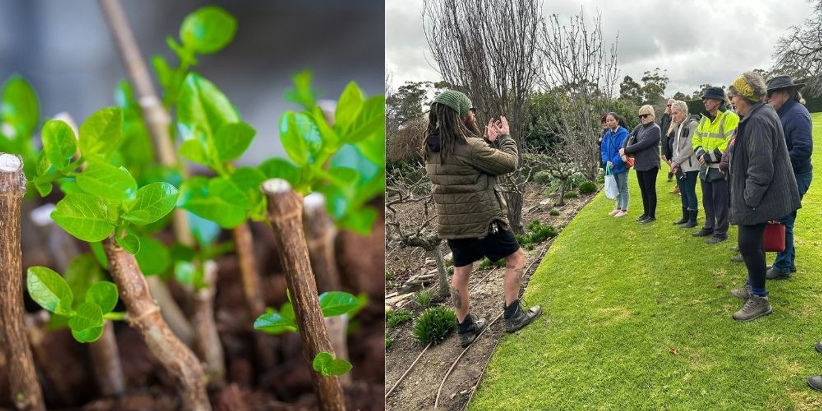 Banner image for Carrick Hill Plant Propagation Workshop