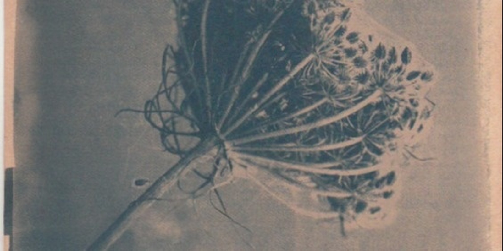 Banner image for Cyanotype workshop