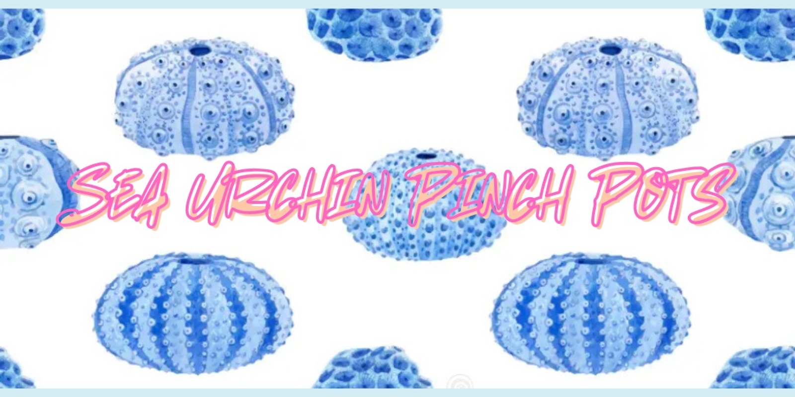 Banner image for Sea Urchin Pinch Pot Class