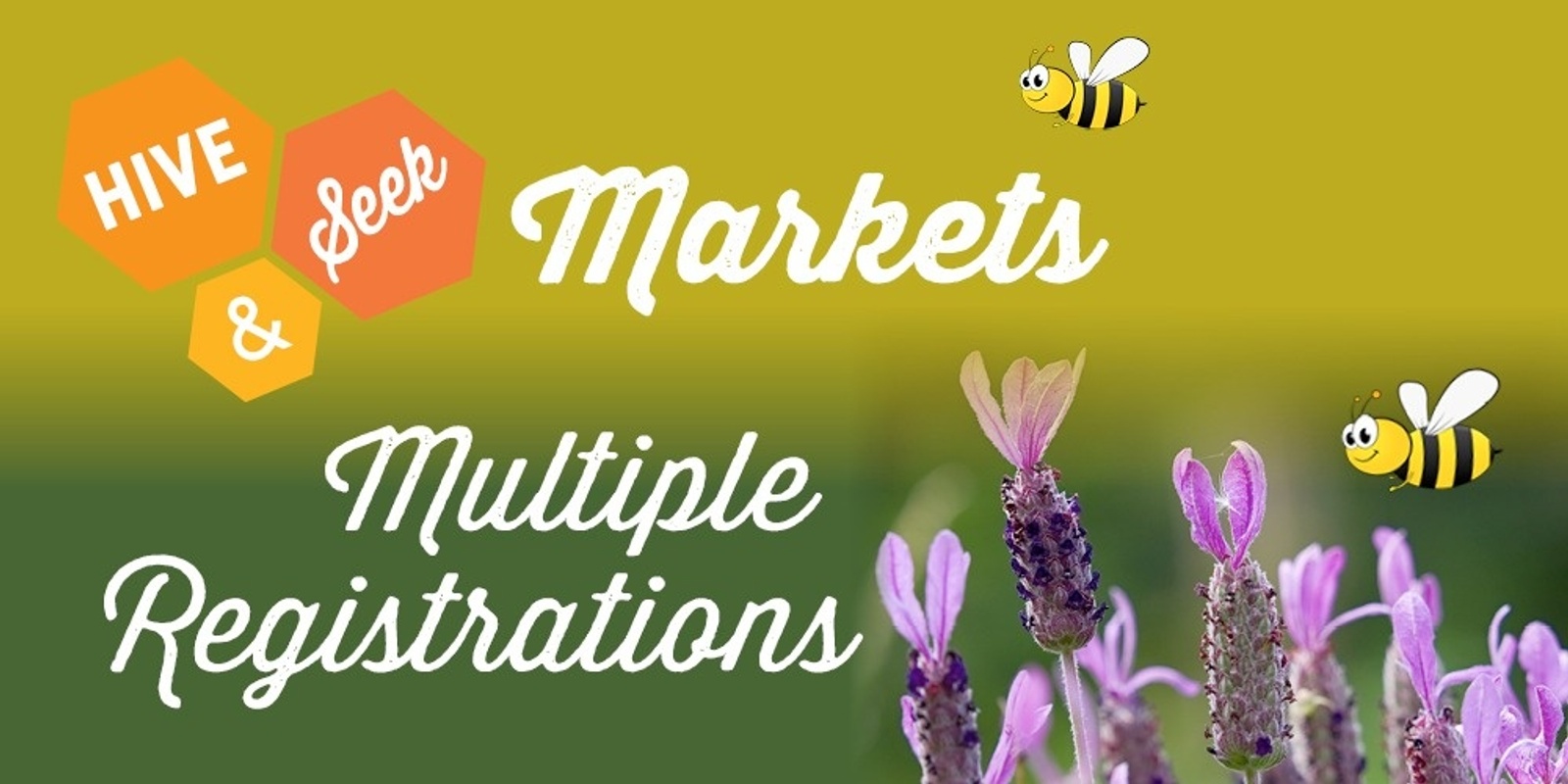 Multiple Hive & Seek Markets 2023