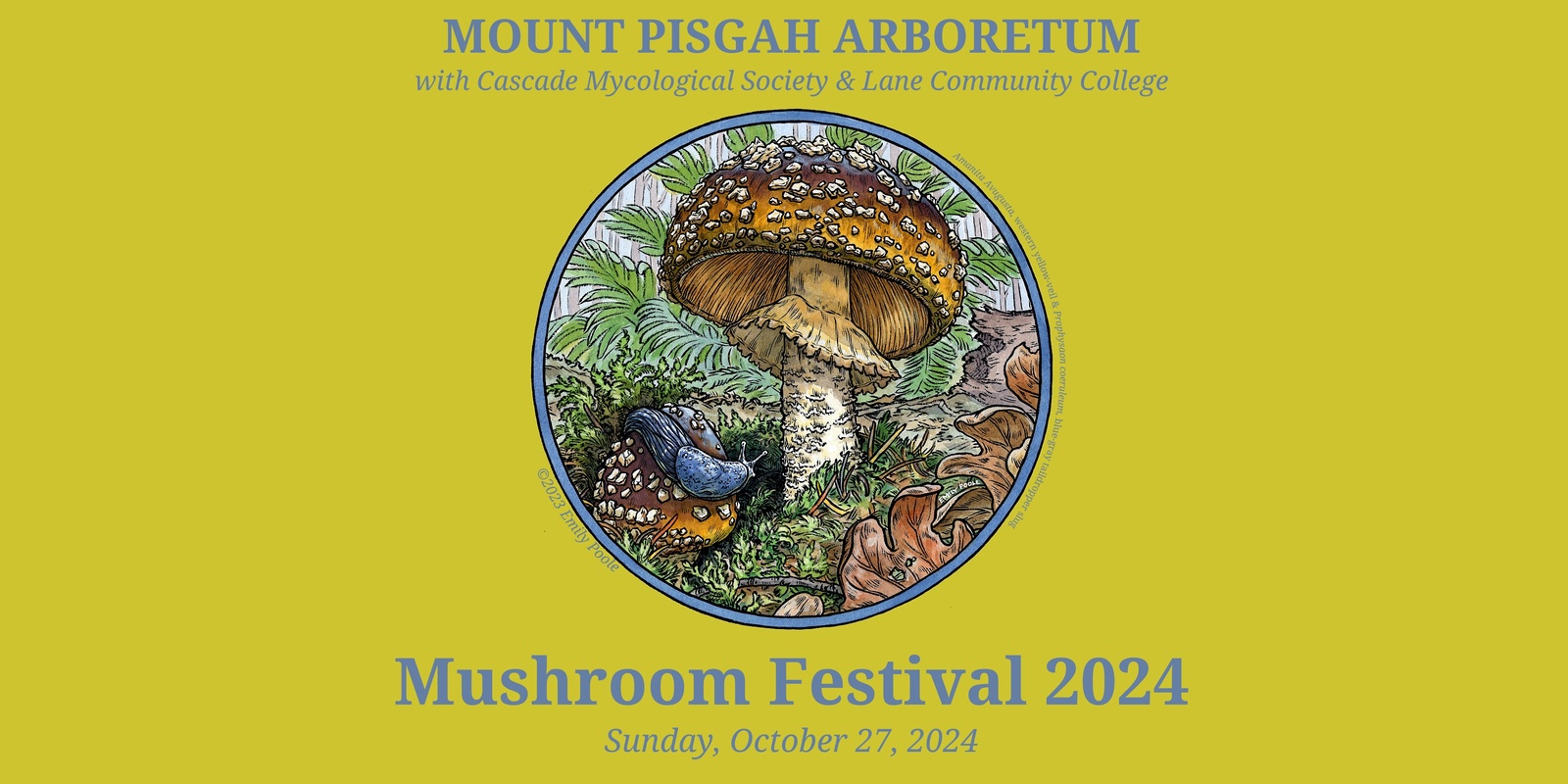 Banner image for Mushroom Festival 2024