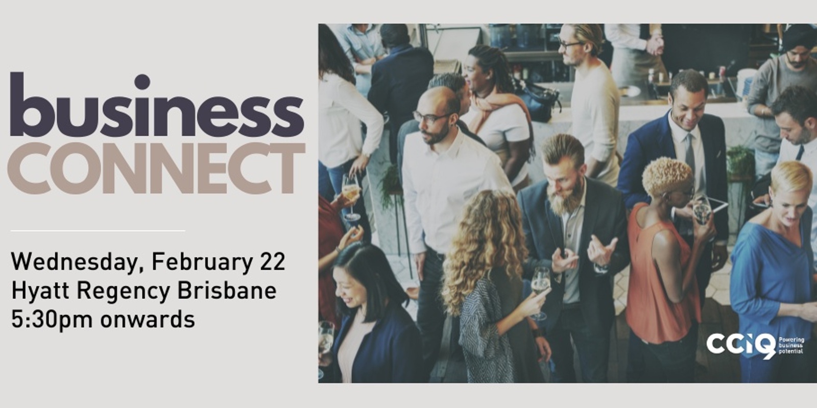 Banner image for CCIQ Business Connect