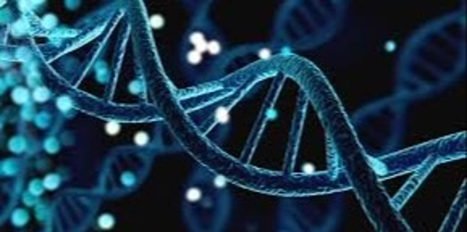Banner image for Basic Dna Course