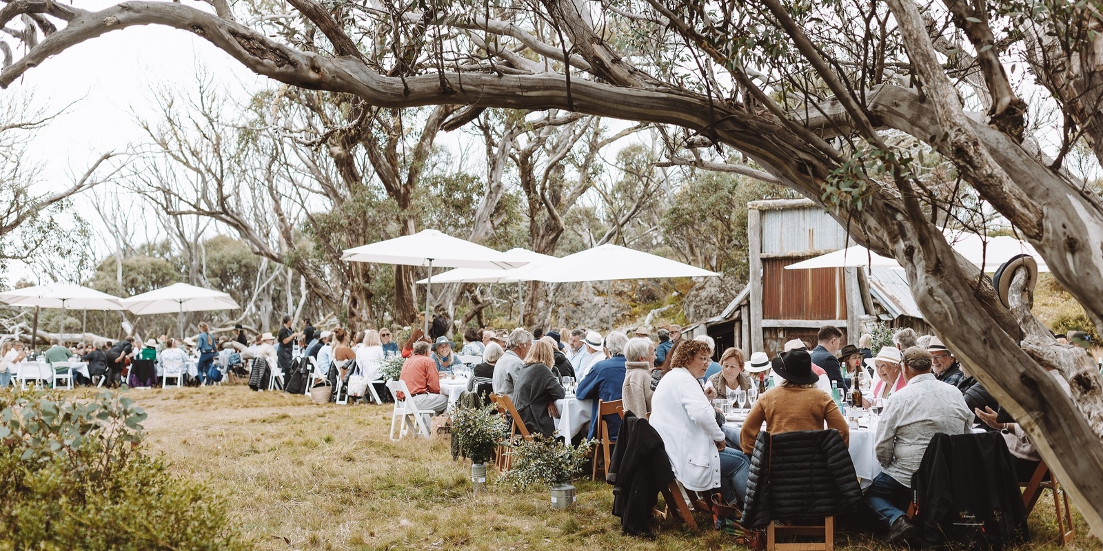 Banner image for Falls Creek Long Lunch 2024