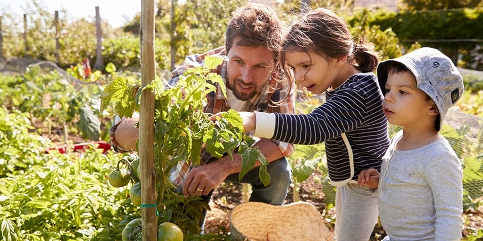 Banner image for Productive Backyards