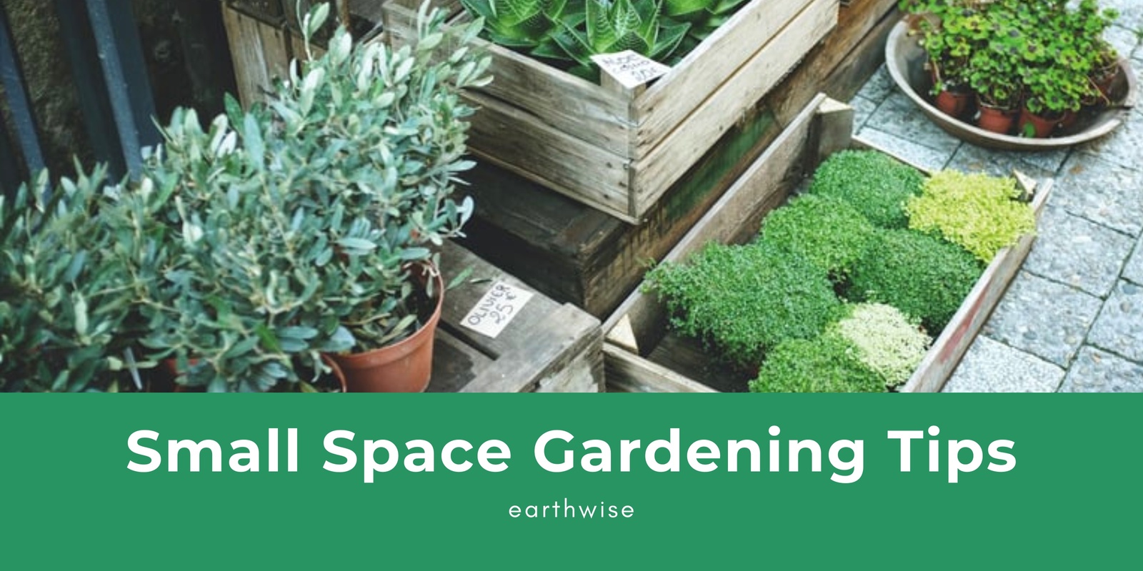 Banner image for WA Mental Health Awareness Week - Small Space Gardening with Earthwise