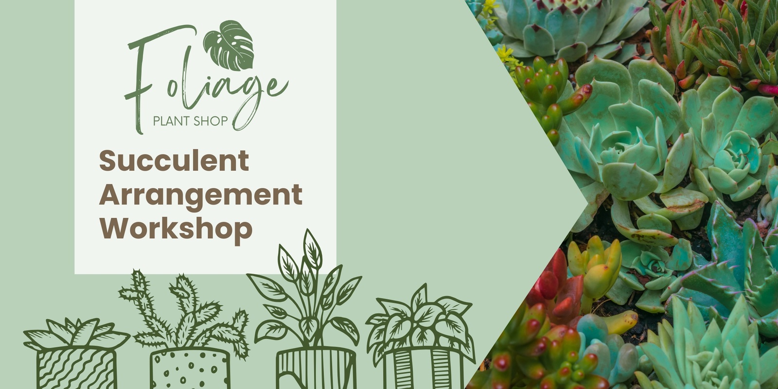 Banner image for Succulent Arrangement Workshop