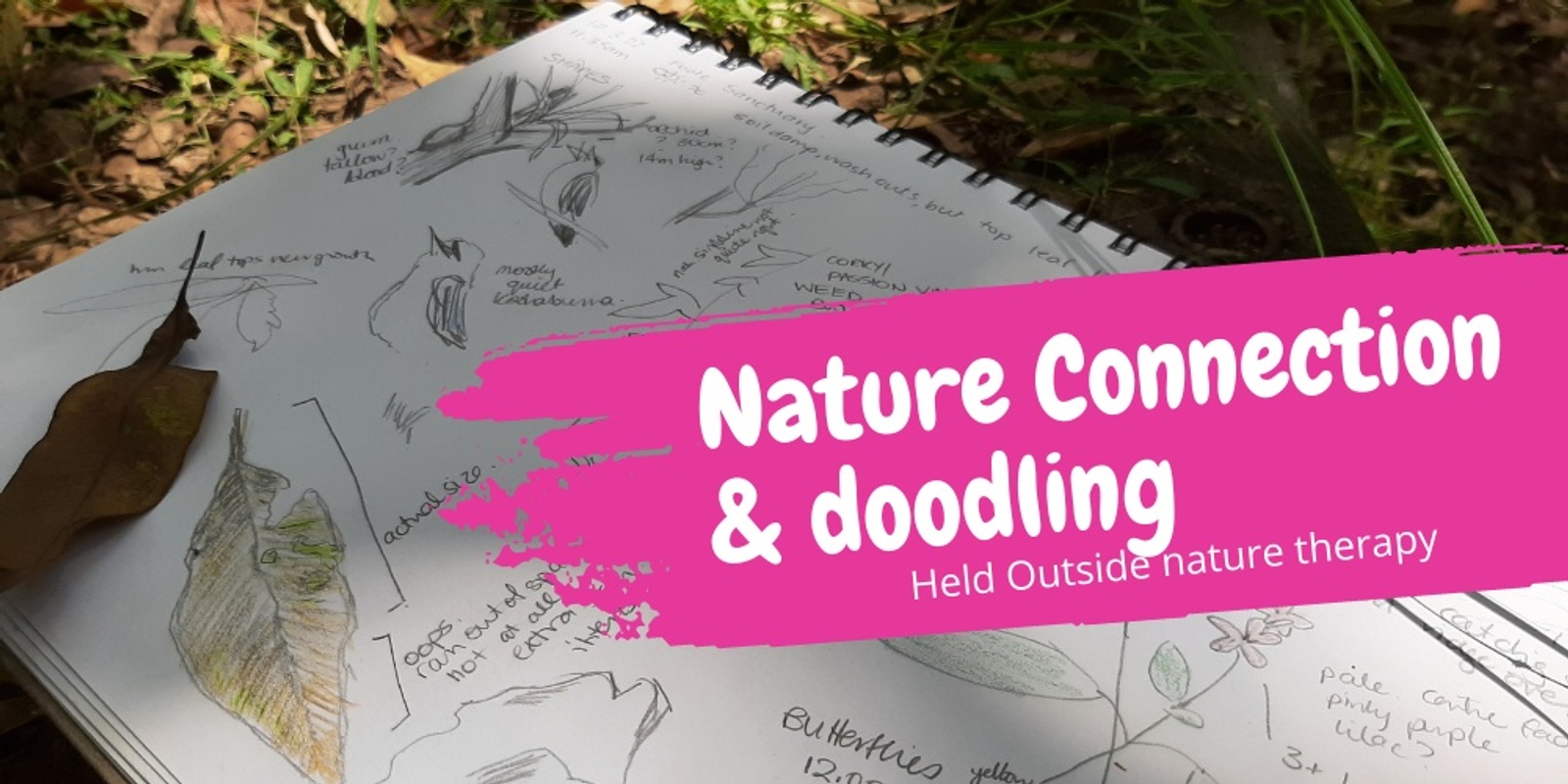Banner image for Nature connection circle with nature journaling/doodling (Wirreanda Park)