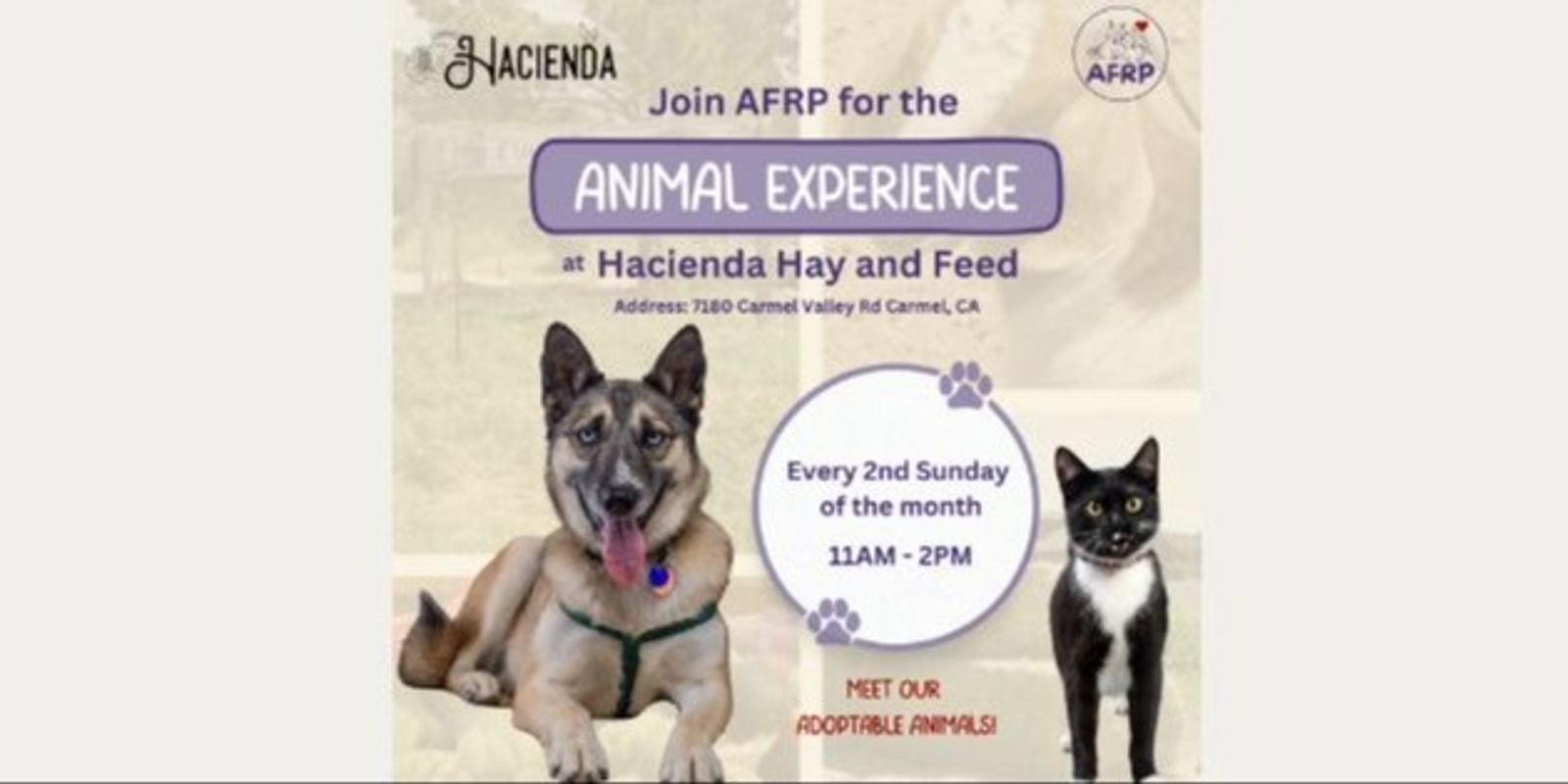 Banner image for Animal Experience with Hacienda Hay and Feed