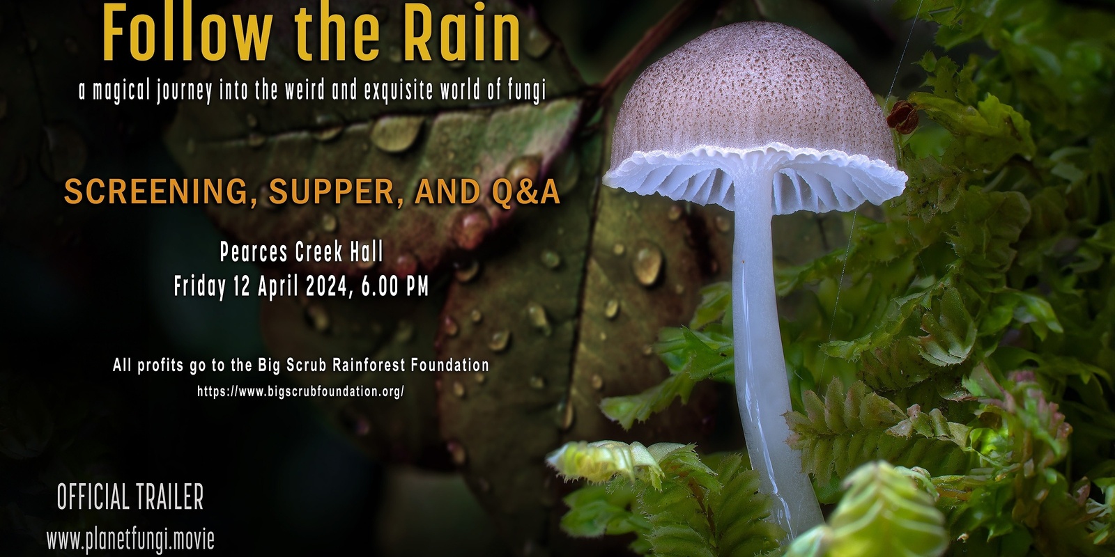 Banner image for Pearces Creek Talks - Planet Fungi : 'Follow the Rain' - film screening and Q&A 