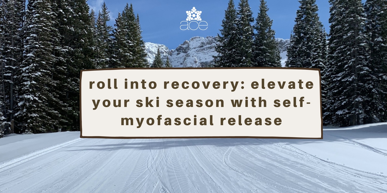 Banner image for Roll into Recovery: Elevate Your Ski Season with Self-Myofascial Release